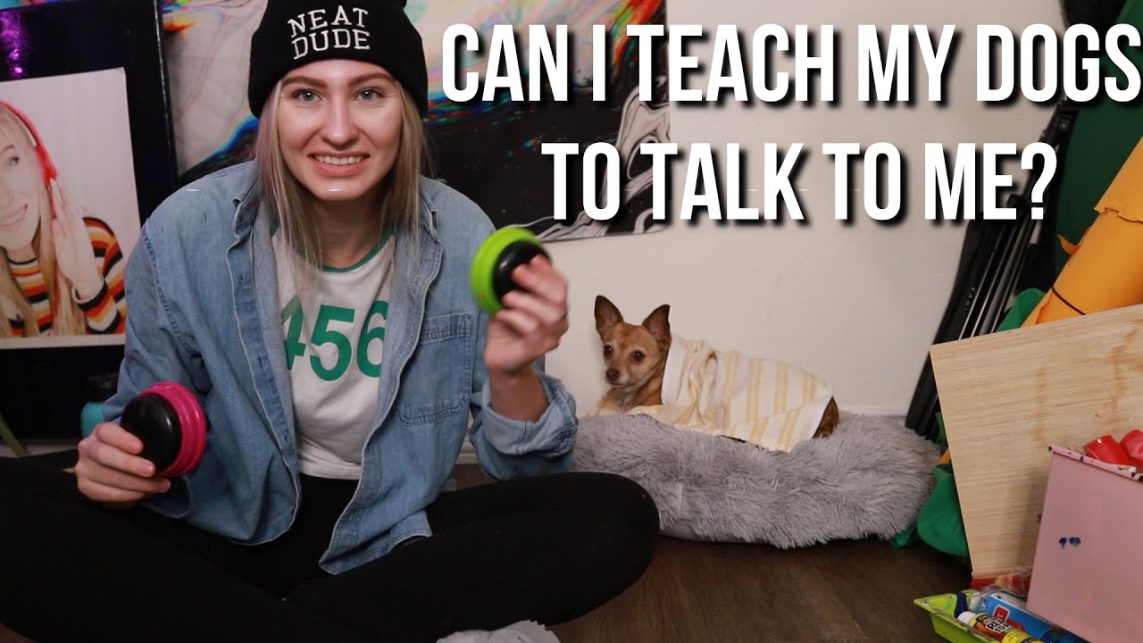 Teaching My Dogs How to Use Speech Buttons! LOL
