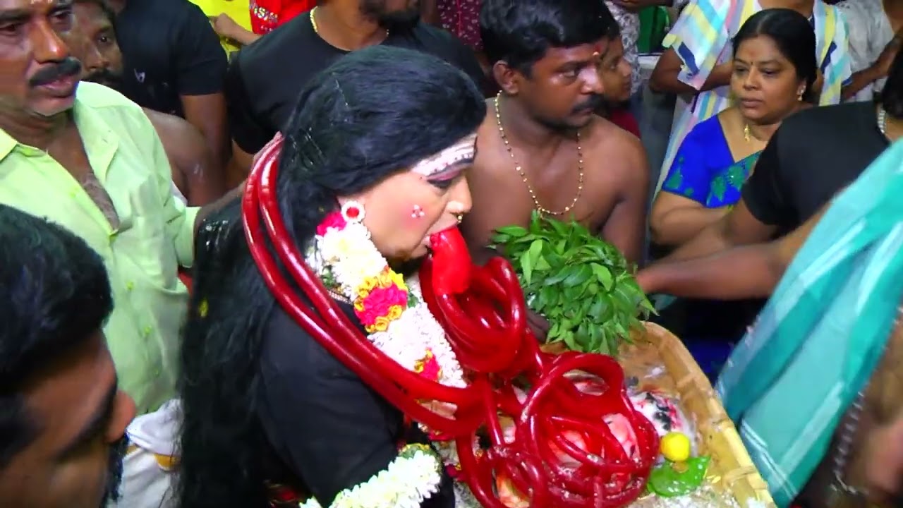 ஸ்ரீ பேச்சியம்மன் பிள்ளைபாவு விழா (19.8.25) | Pookulam Sri Angalaparameswari Temple |