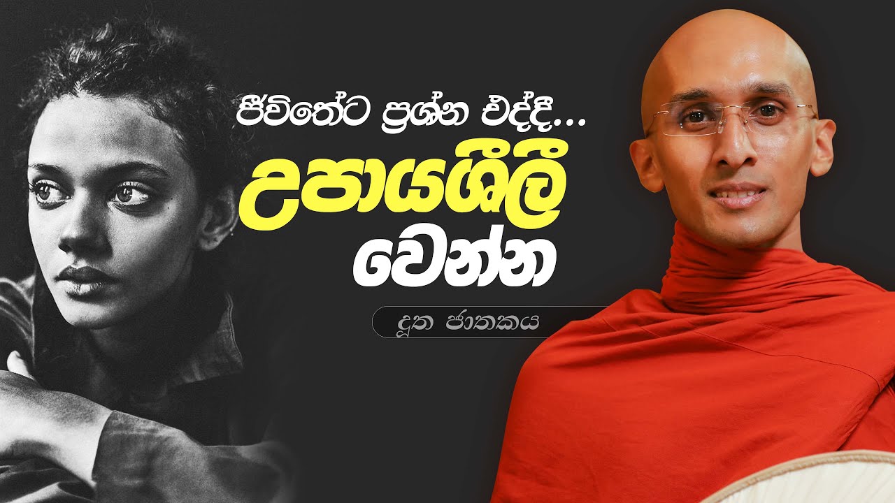 254. උපායශීලී වෙන්න | දූත ජාතකය | 2024-02-06