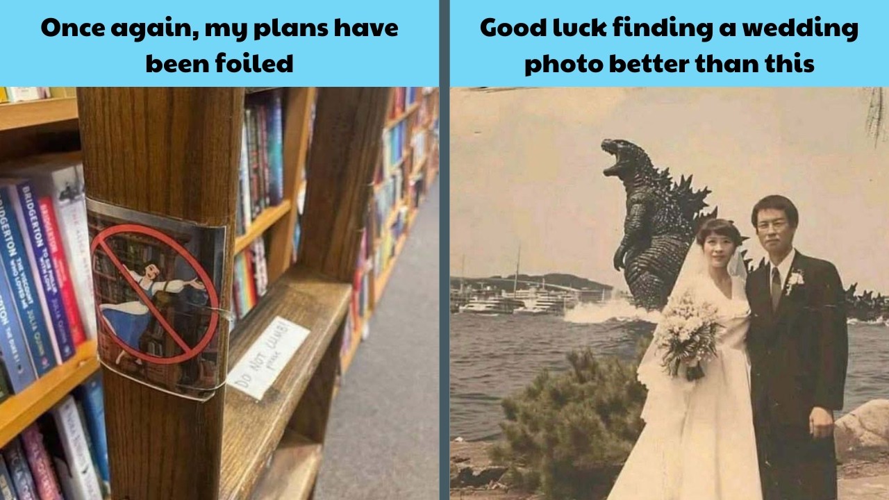 Fresh Memes to Cure Your Boredom