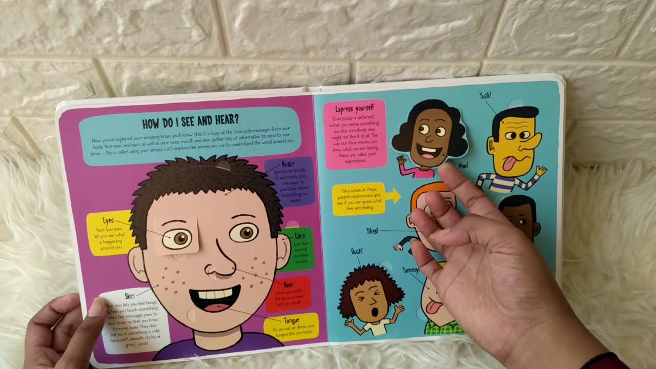 Little Explorers: My Amazing Body (More Than 50 Flaps!)