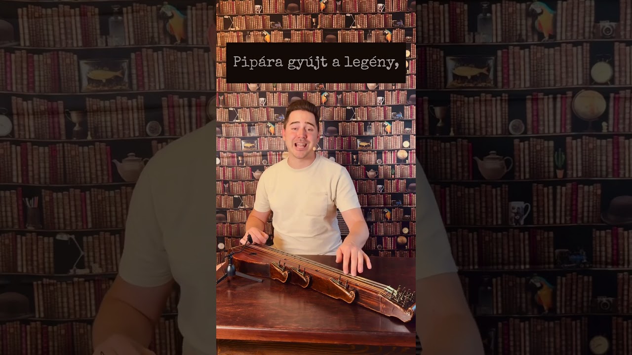 V&aacute;s&aacute;ri n&oacute;ta 😎 #pajz&aacute;n #n&eacute;pdal #citera #hungarianfolkmusic #zither