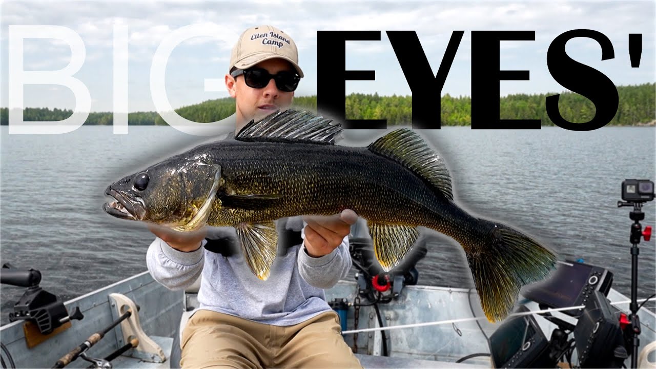 MINNOWS VS WORMS For BIG Early Summer Walleye! | Lady Evelyn Lake
