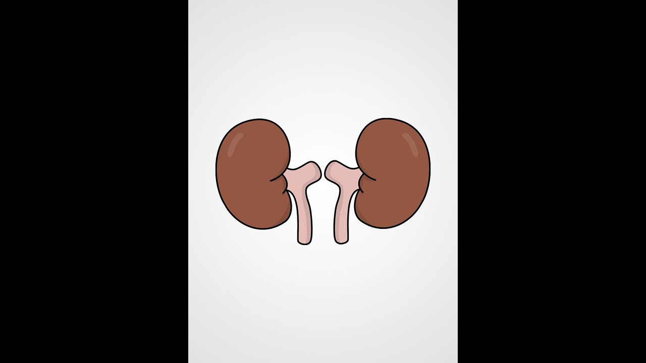 Glomerüler Hastalıkların Patofizyolojisi (Dr.patoloji.com TUS eğitim paketinden alınmıştır.)