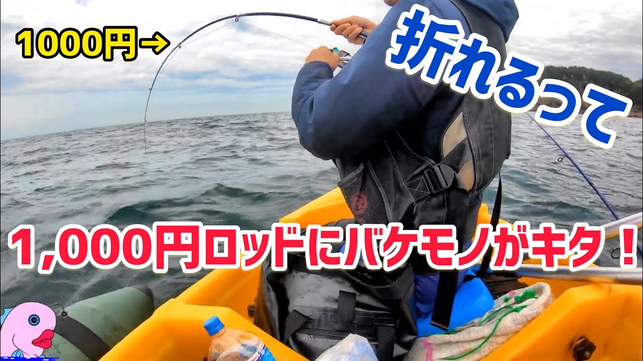 2馬力ボートでサバのノマセ釣りしたら予想外の奴が挑戦してきた。