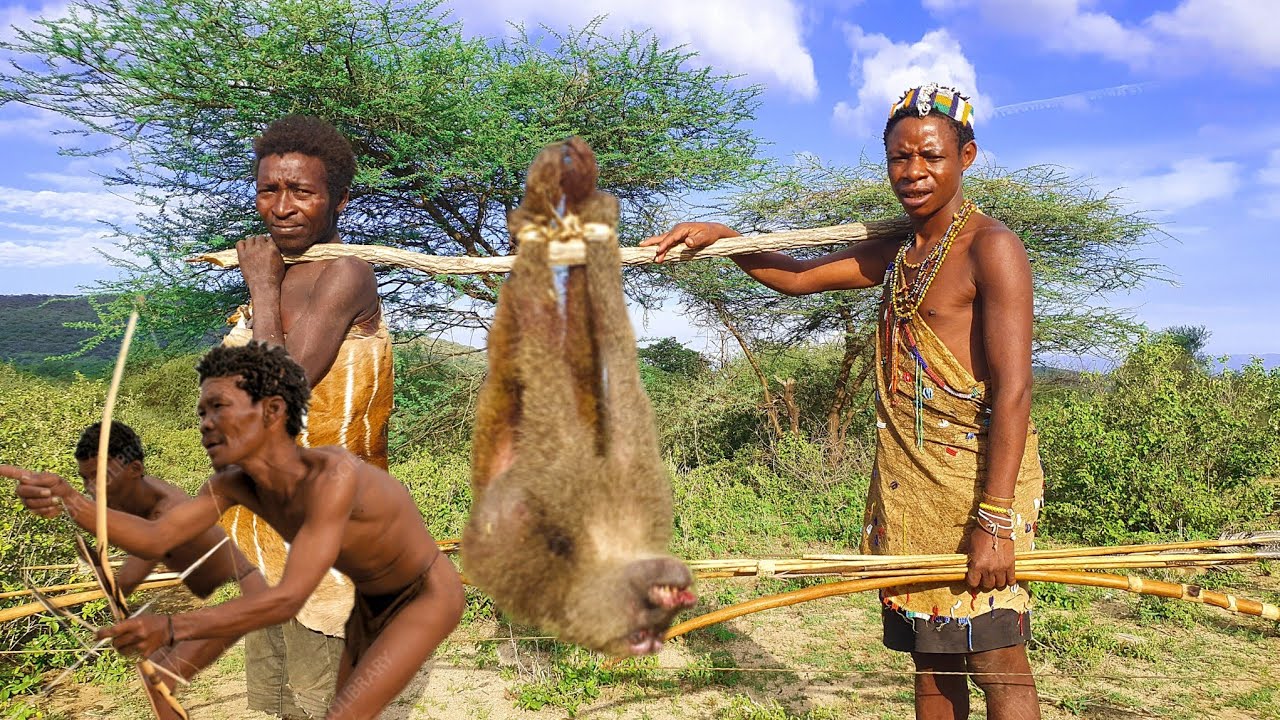 Hadzabe Tribe Made It Again With BIG BABOON. the life of the hunter