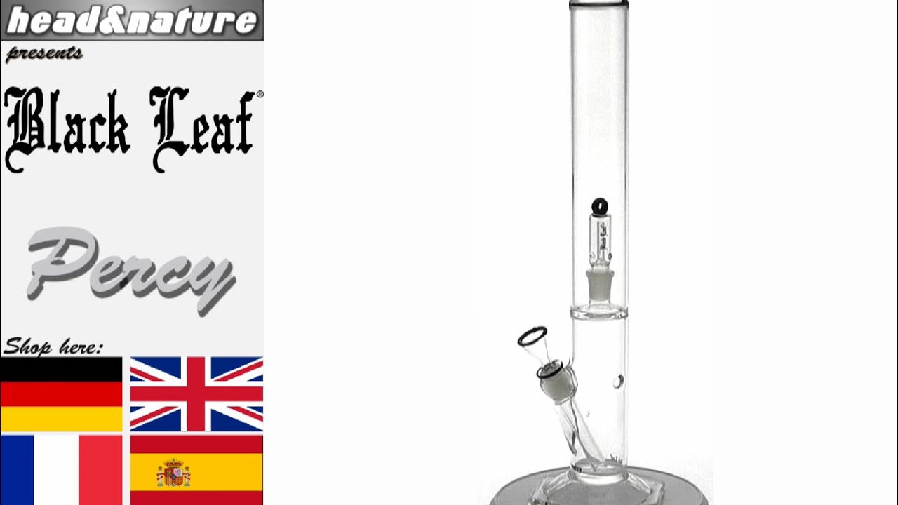 Black Leaf Percolator Percy - head&nature