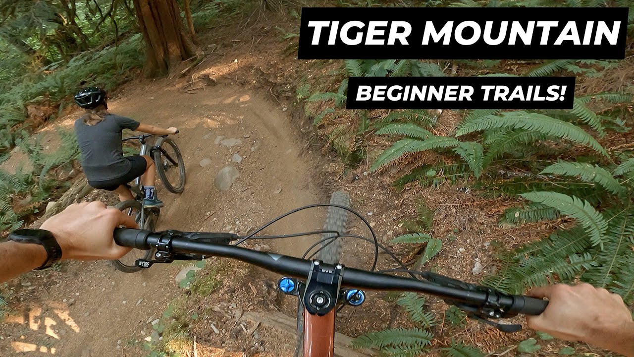 Tiger Mountain &mdash; идеальные трассы для начинающих горных велосипедистов
