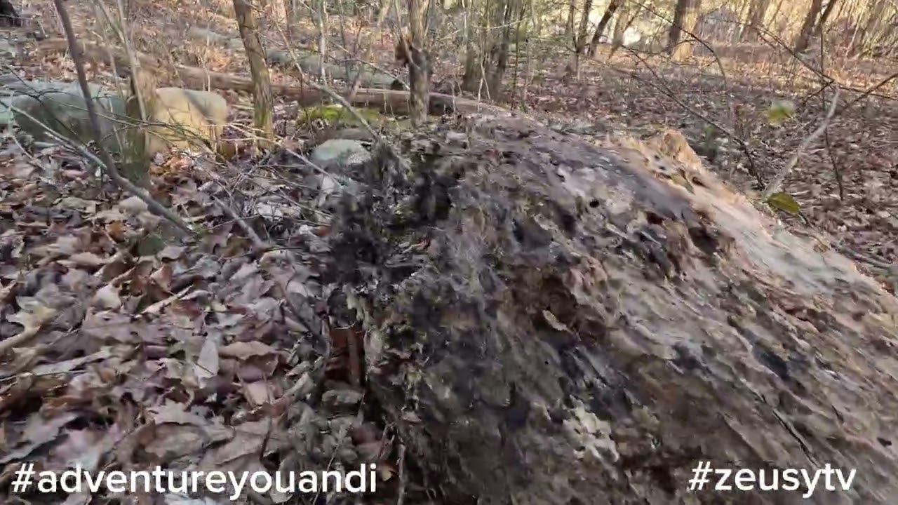 Hiking with Zeusy           #adventureyouandi     #zeusytv     #cumberlandriver 