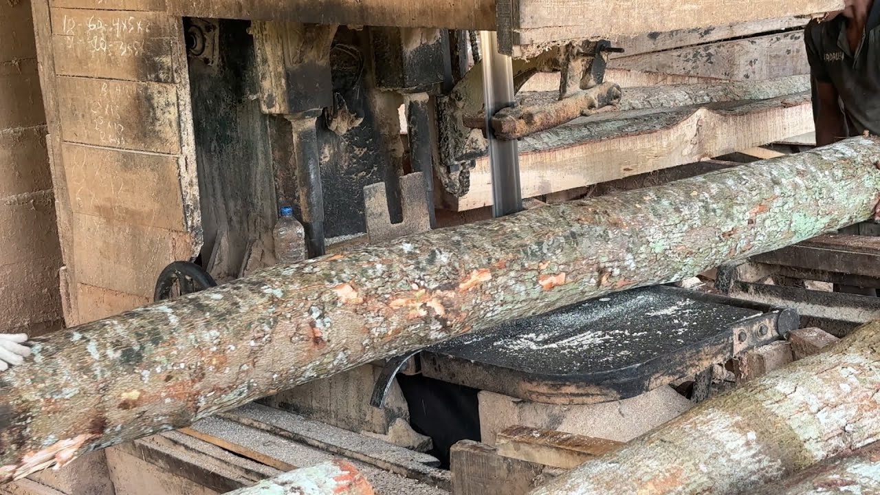 Safe Tips When Sawing 2x20 Wood in a Sawmill