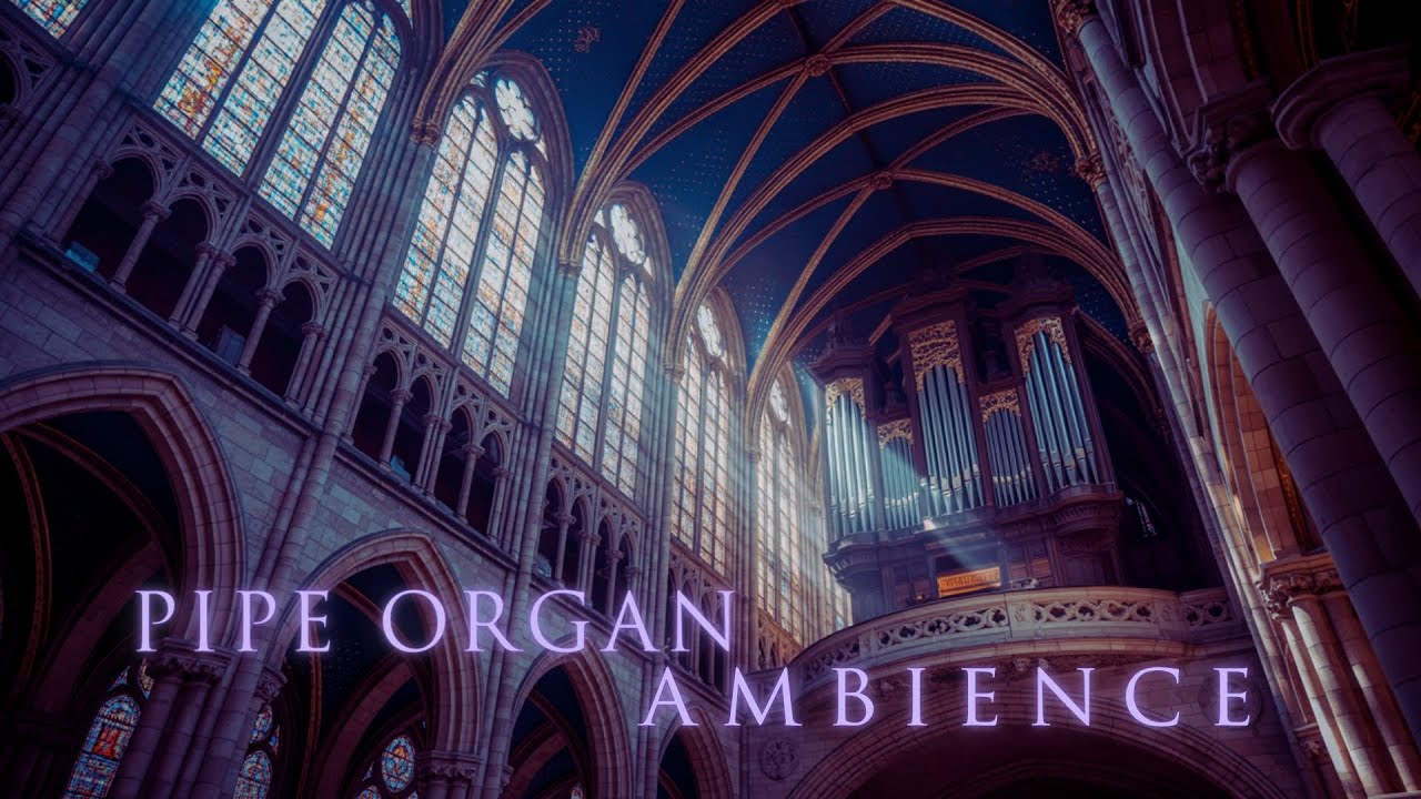 PIPE ORGAN AMBIENCE | ONE HOUR of ambient organ music for calm and rest (Vol 8)