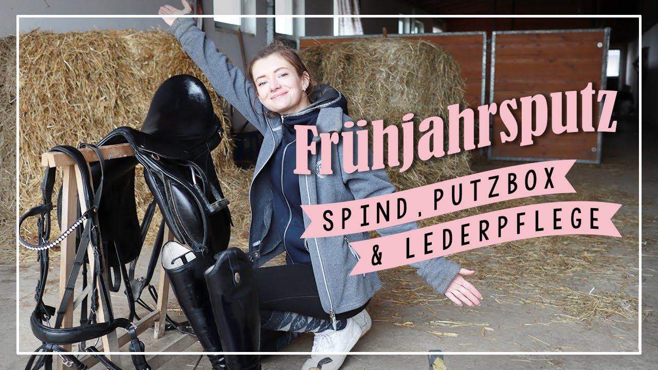 Frühjahrsputz 🧼🌷 | Spind & Putzsachen putzen | Lederpflege // A&G HorseDiary