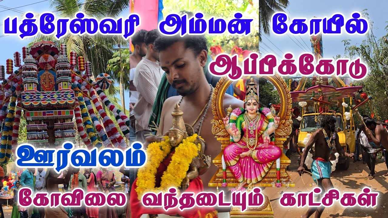 Appicode Temple Orvalam 2026 Part 2 | Sree Bhadreswari Amman Temple Appicode orvalam 2026 | Appicode