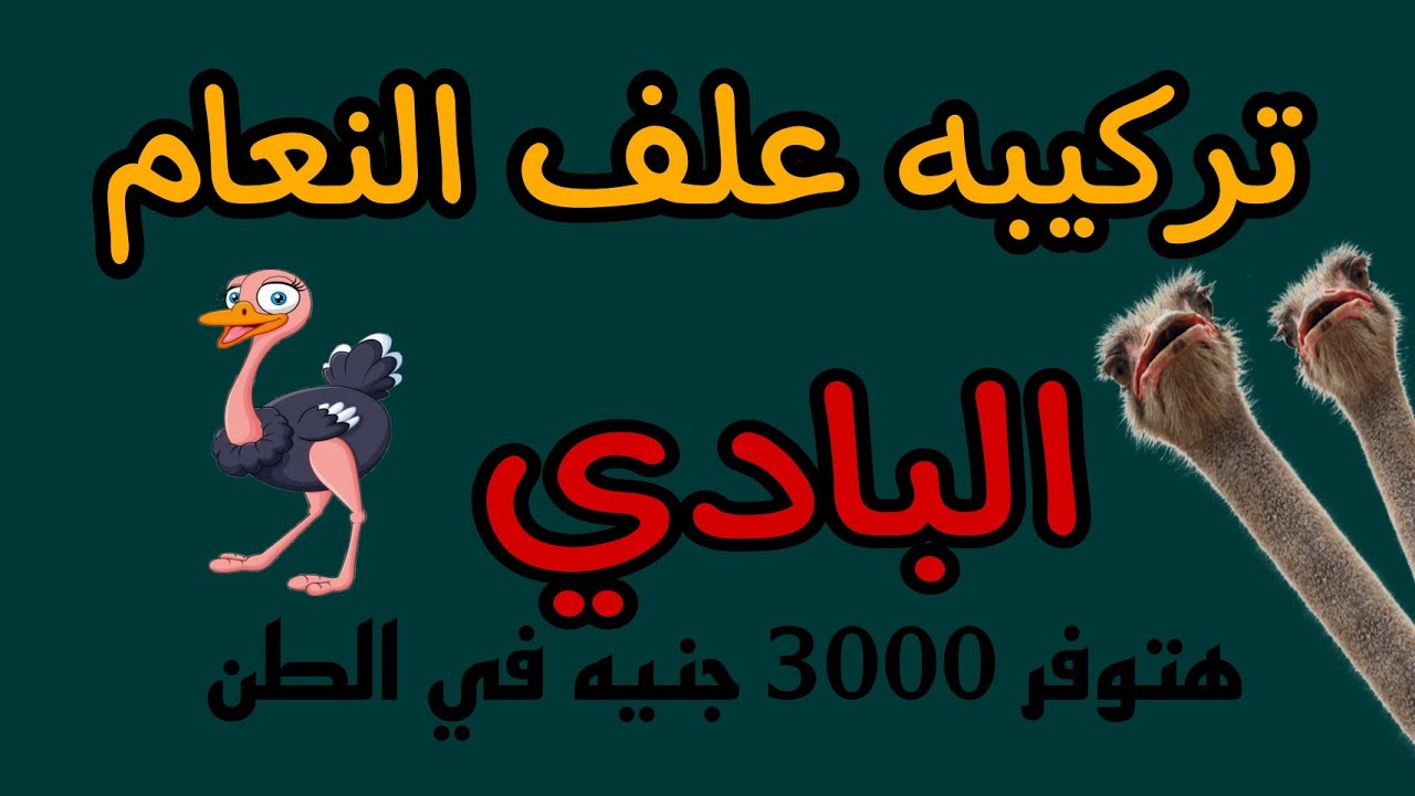 تركيبه علف النعام البادي بالنسب والمكونات | علف النعام كما لم تراه من قبل وكشف السر الحربي للتركيبه