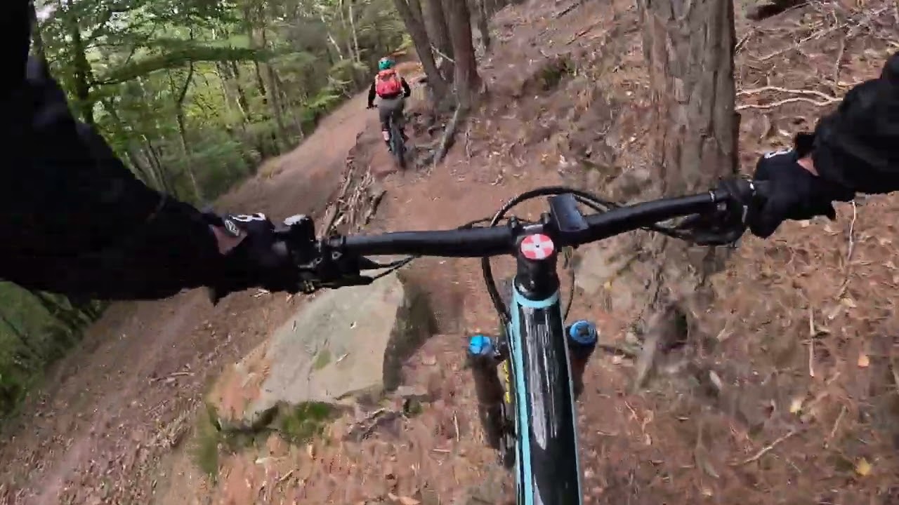 Surfing Singletrack in Pfälzerwald / Palatinate Forest Germany Part 2