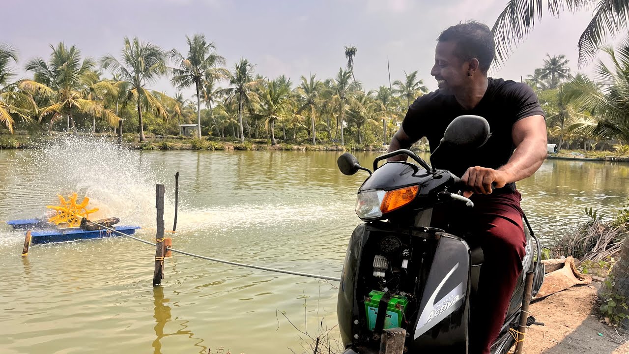 ഇവനാണ് ഇനി മുതൽ നമ്മുടെ ചെമ്മീനുകളുടെ രക്ഷകൻ ...K&K