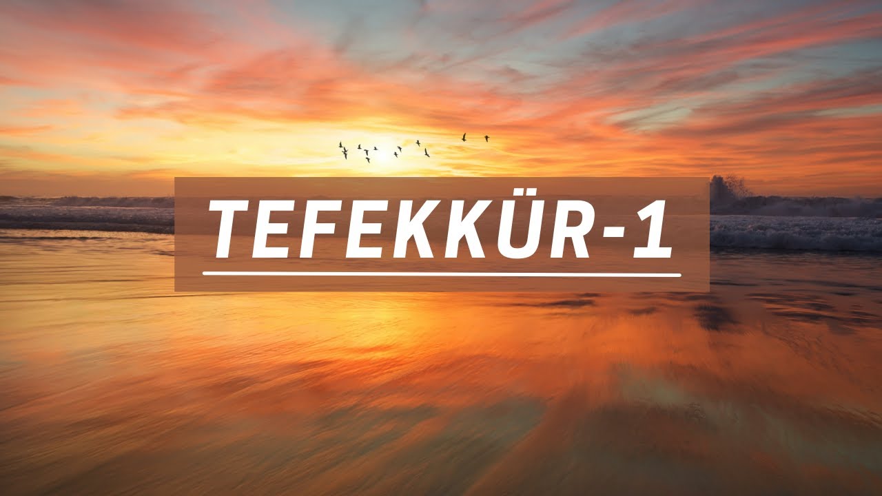 TEFEKKÜR 1: TEFEKKÜR NEDİR?