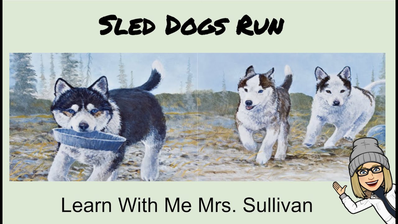 Sled Dogs Run