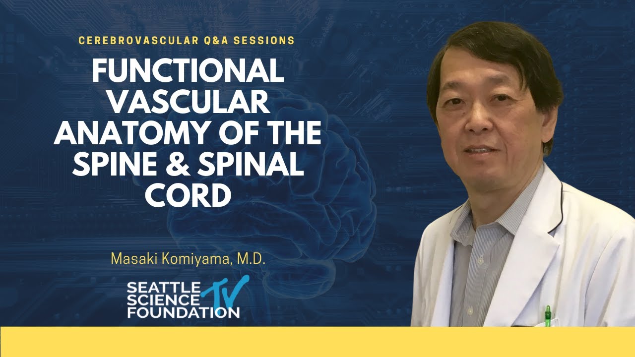 Functional Vascular Anatomy of The Spine & Spinal Cord &ndash; Masaki Komiyama, M.D.