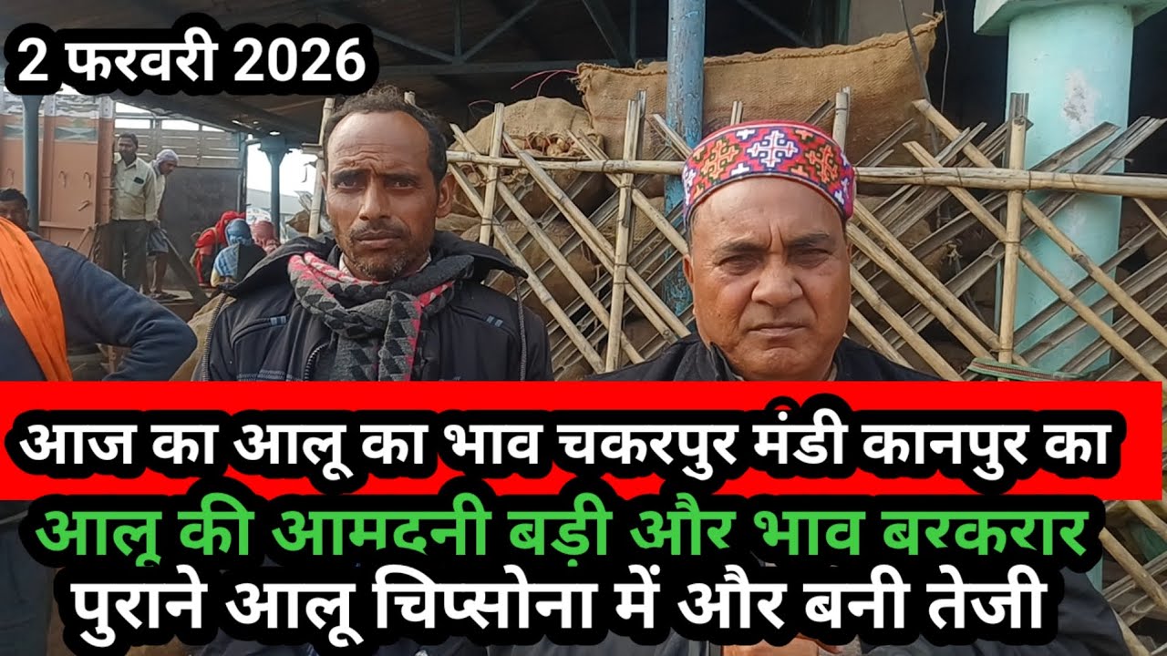 आज का आलू का भाव चकरपुर मंडी कानपुर का 2 फरवरी 2026