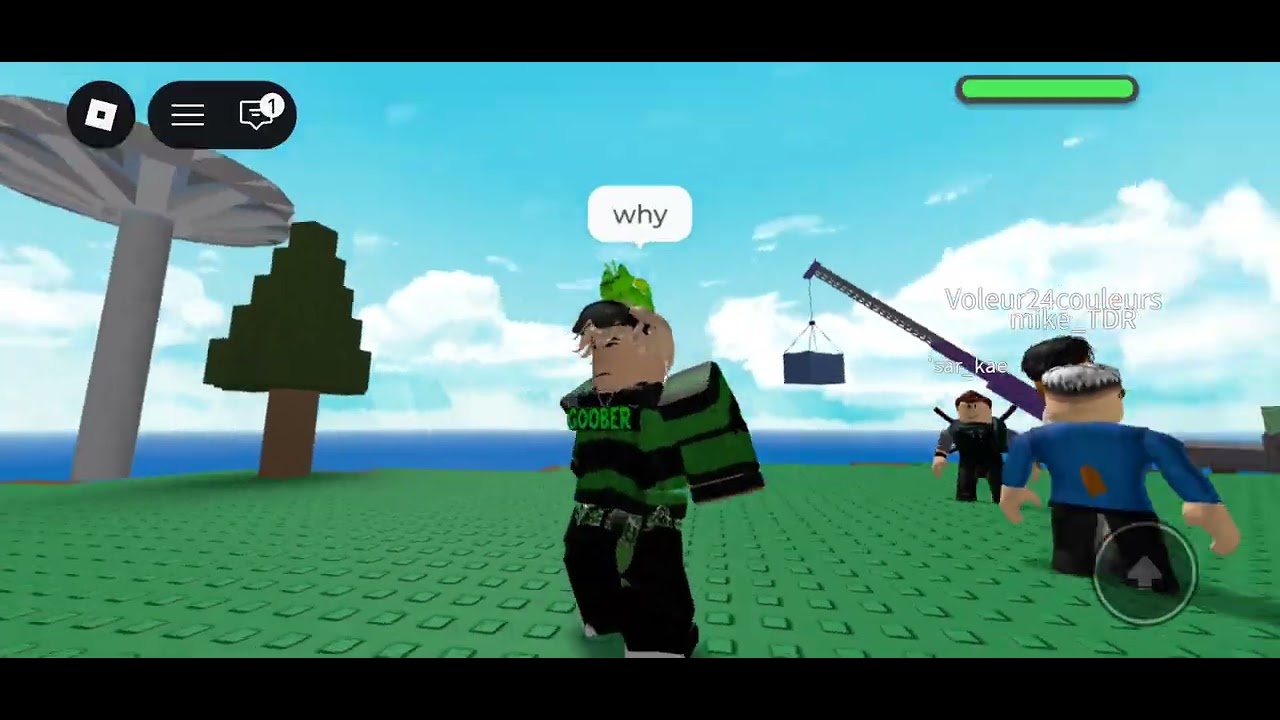 Me playing natural disaster survival 
