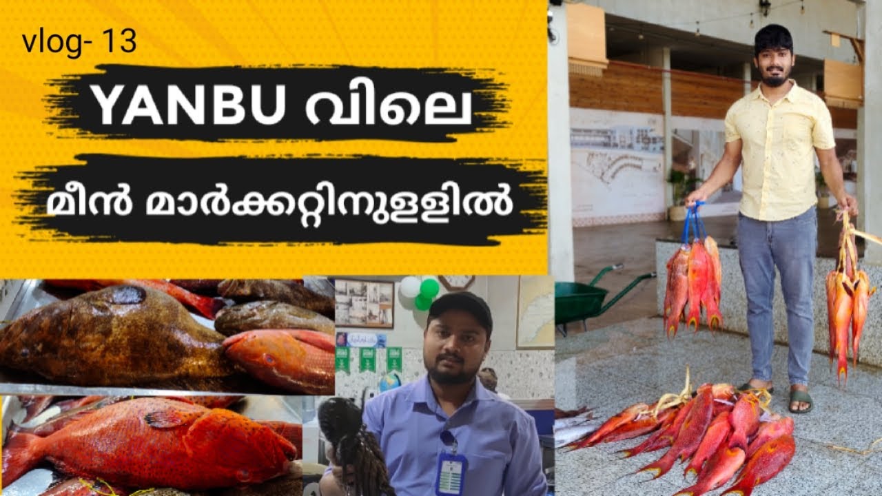 YANBU വിലെ | മീൻ മാർക്കറ്റിൽ | Saudi Arabia | malayalam | vlog - 13#