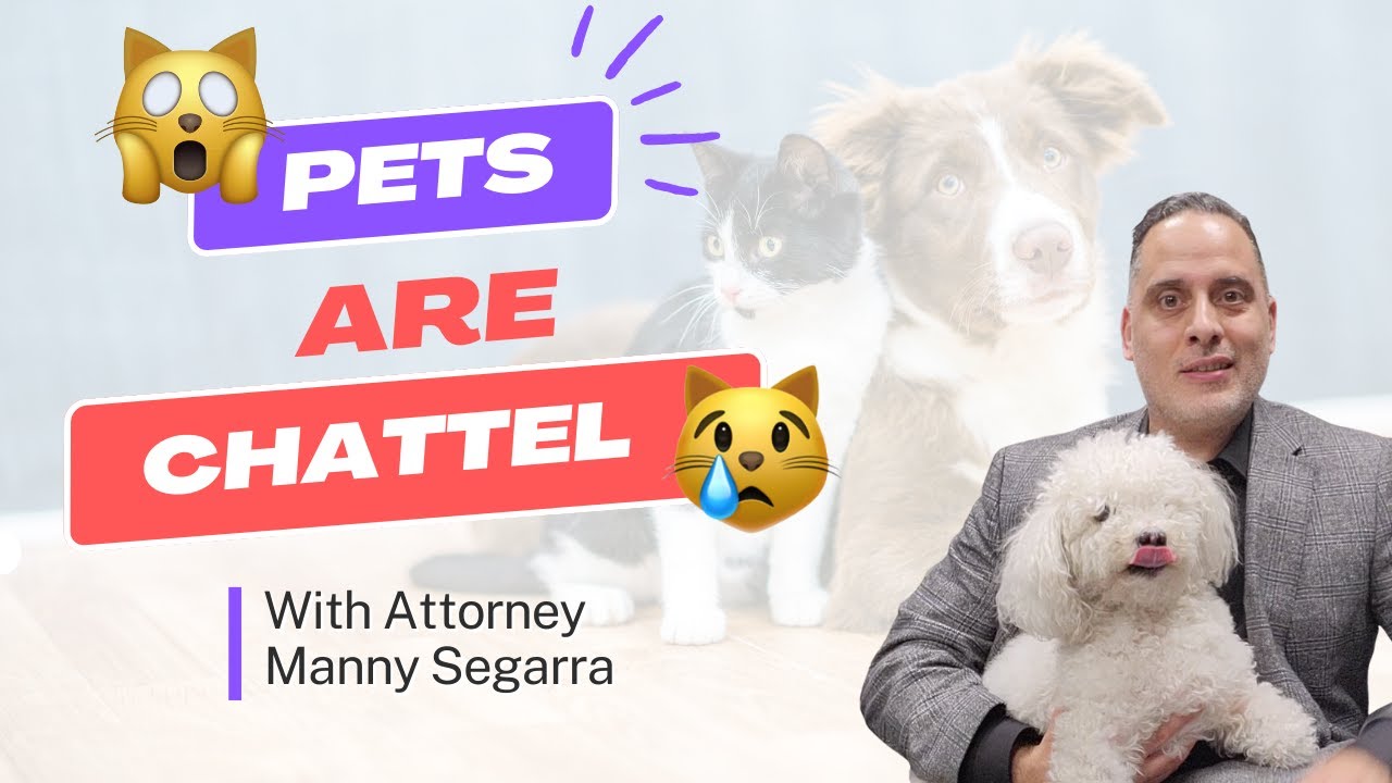 Pets are chattel :(