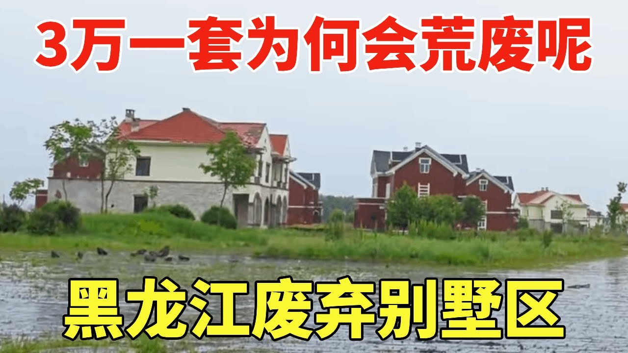 鬼哥黑龙江探房路上发现废弃别墅区，曾经都是三四万一套，为何现在会荒废呢？【鬼头看房】