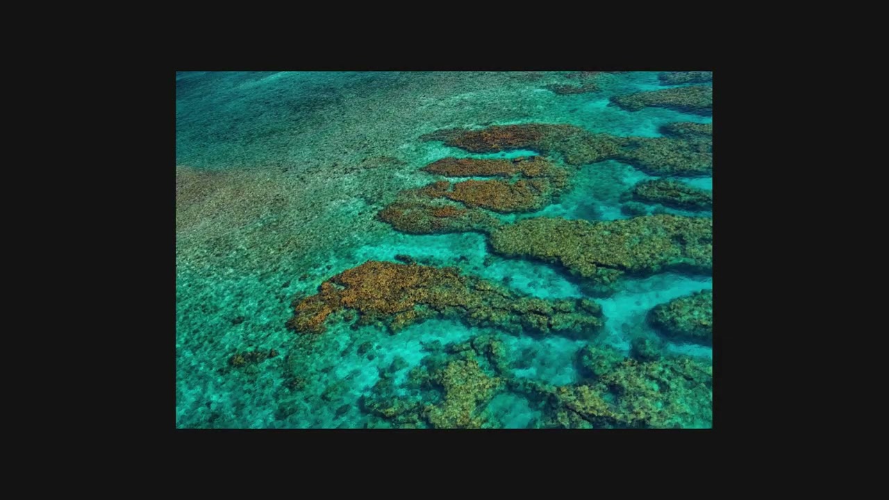Looe Key Reef Aerial Photography | Florida Keys Coral Conservation | Fine Art from Above