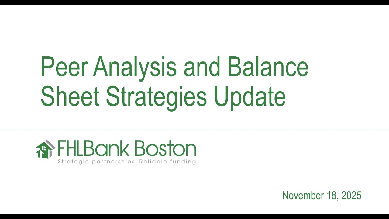 Peer Analysis and Balance Sheet Strategies Update - November 2025