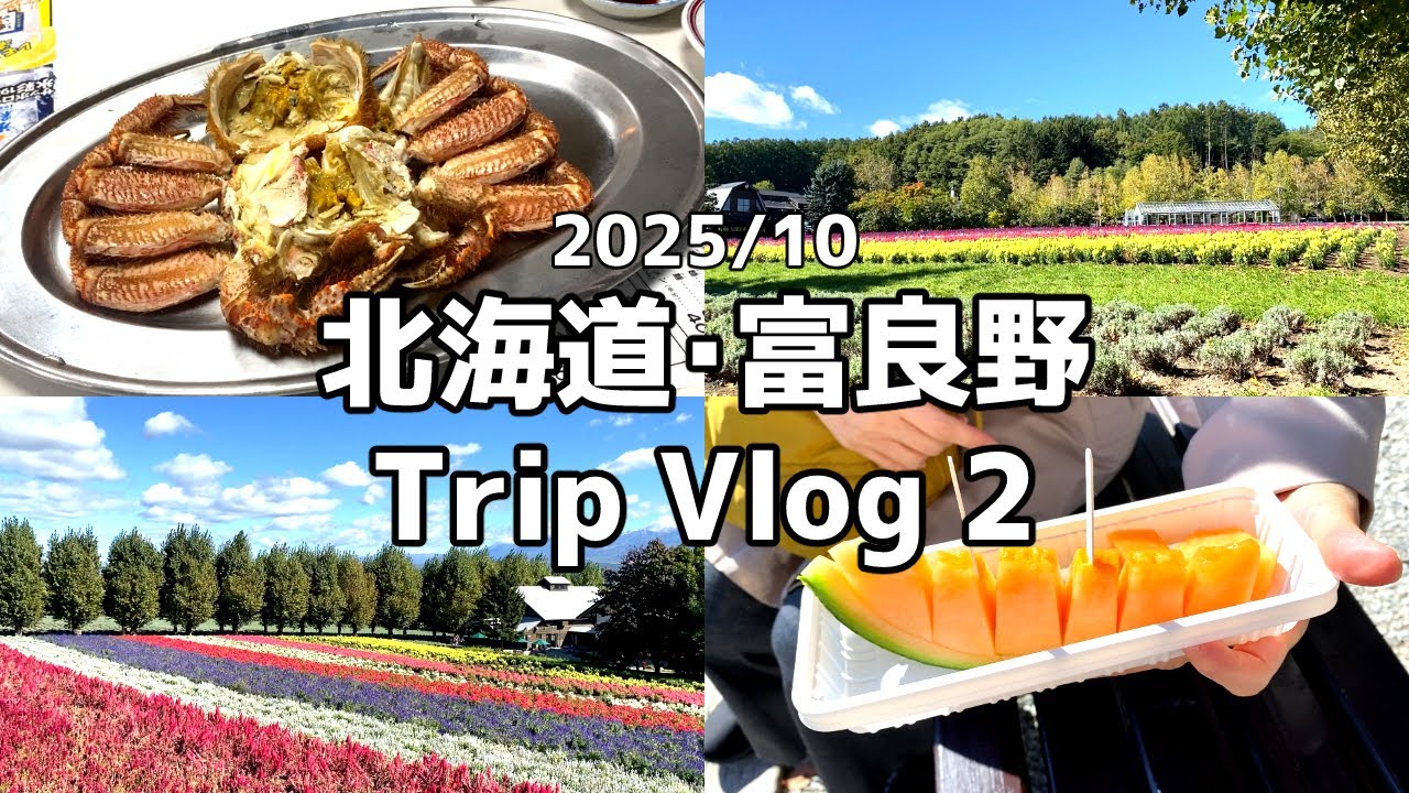 【Trip vlog】3泊4日北海道旅行✈202510後編｜富良野・札幌・新千歳⛄｜北海道グルメ｜いくらや夕張メロン、蟹などグルメ満喫🦀｜お土産紹介🍪