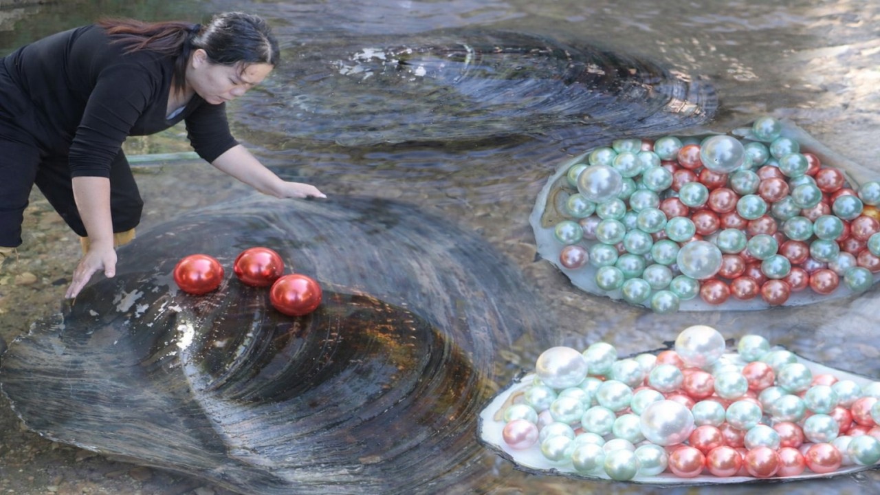 🔥Amazing discovery! A girl unexpectedly found a precious pearl while catching clams in the wild!