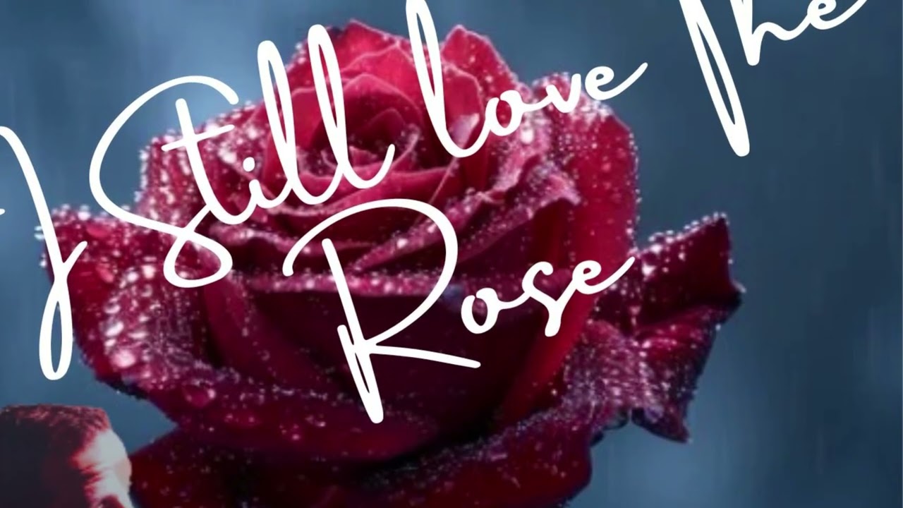 I Still Love The Rose