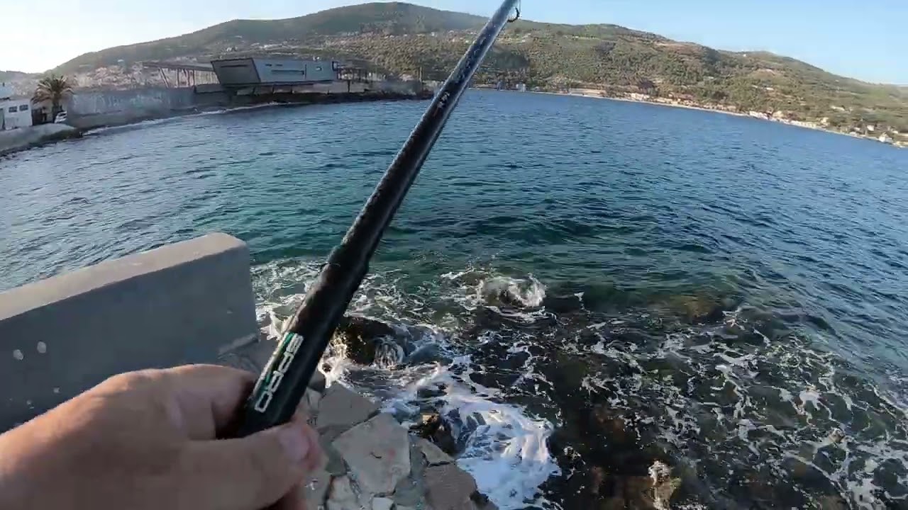 ψάρεμα με πολυάγκιστρο με ψωμί για κεφαλοπουλα με έντονο κυματισμό