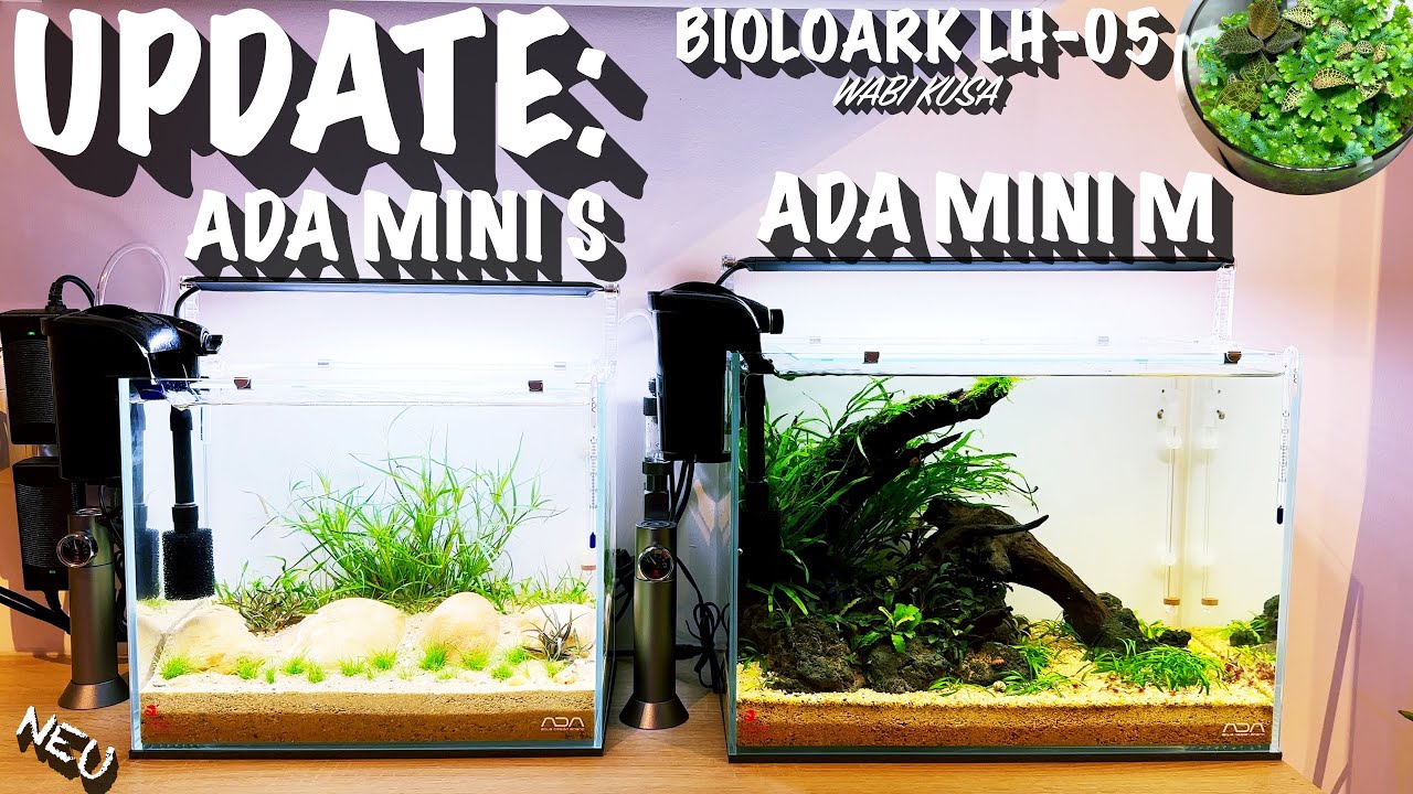Update: ADA Mini S, ADA Mini M & Bioloark LH-05