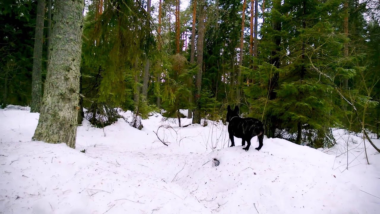 Nokia Lumia 920 Movement and OIS Video Test