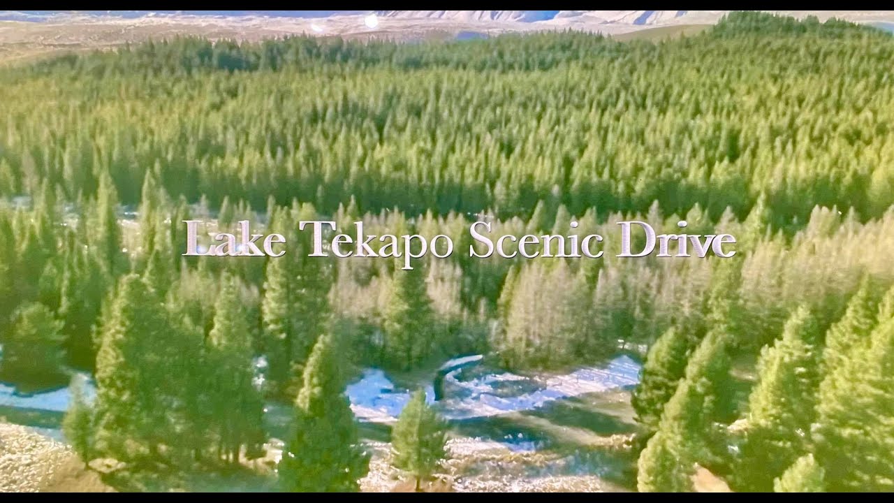 Lake Tekapo Scenic Drive I New Zealand