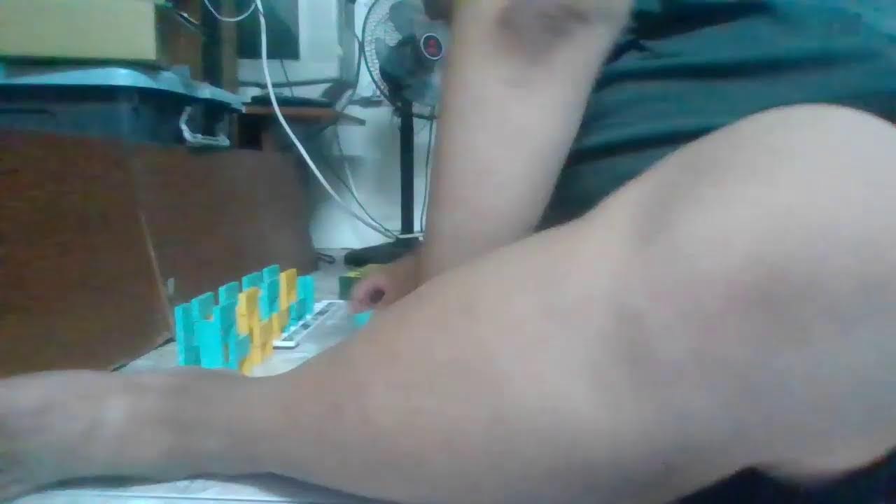 my first live! building dominoes!