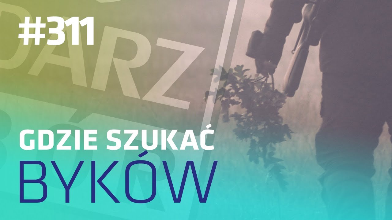 Darz Bór odc 311 - Gdzie szukać byków