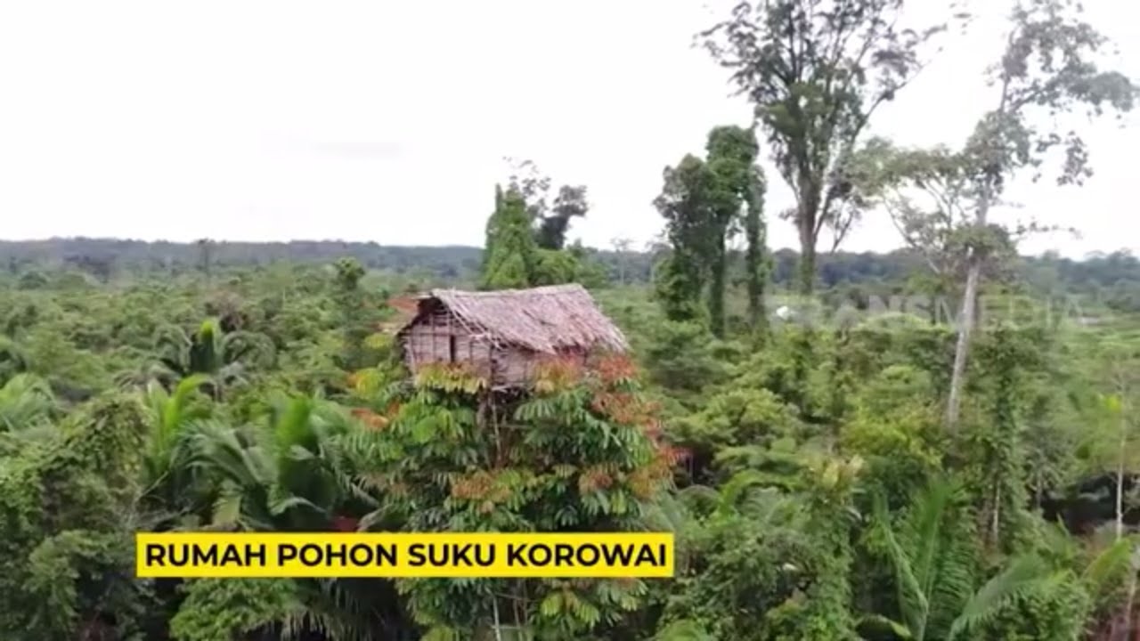 Rumah Pohon Suku Korowai | RAGAM INDONESIA (24/05/23)