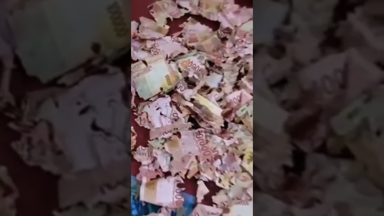 Views of money eaten by termites #shorts #money