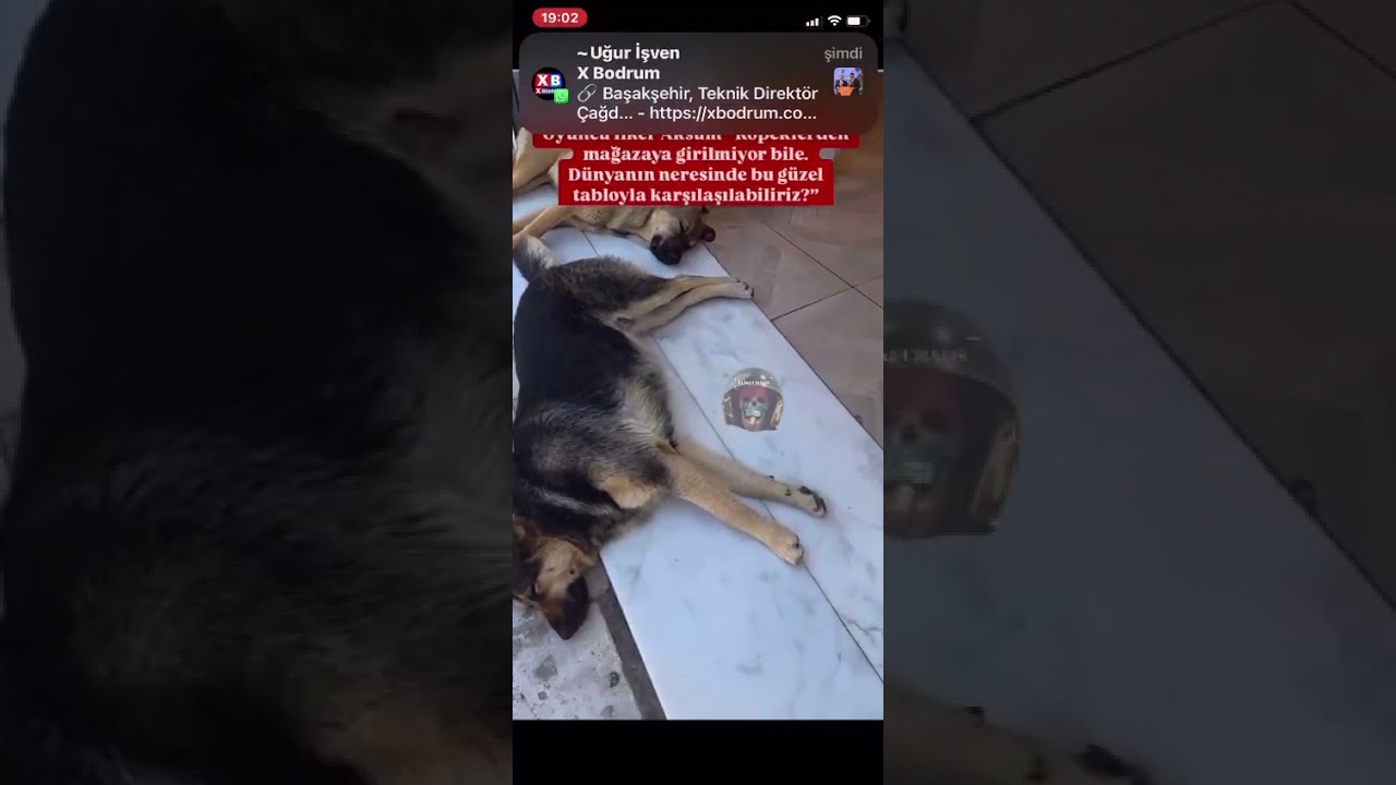 İlker Aksum&rsquo;dan Bodrum&rsquo;da Duygulandıran Paylaşım: &ldquo;D&uuml;nyanın Neresinde B&ouml;yle G&uuml;zel Bir Tablo Var?&rdquo;