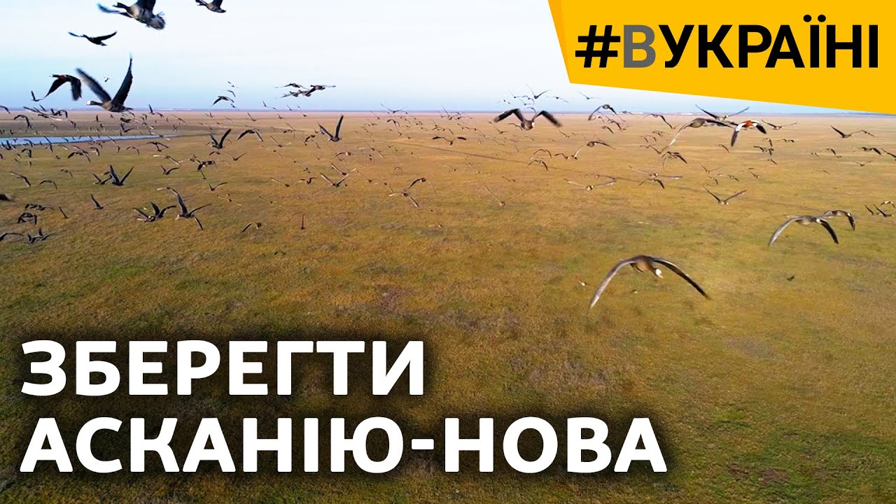 Спасти Асканию-Нова | #ВУКРАИНЕ
