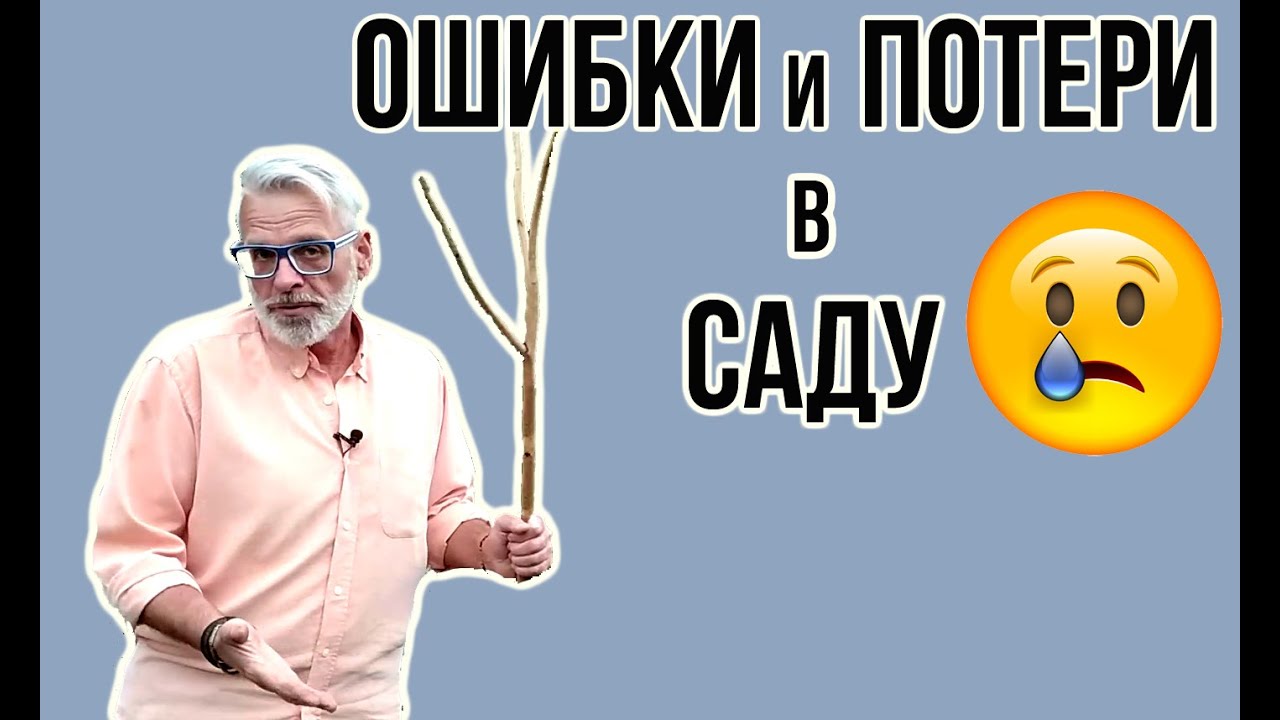Увядание КЛЕМАТИСА / Усыхание АЛЬБИЦИИ ЛЕНКОРАНСКОЙ и другие проблемы / Игорь Билевич