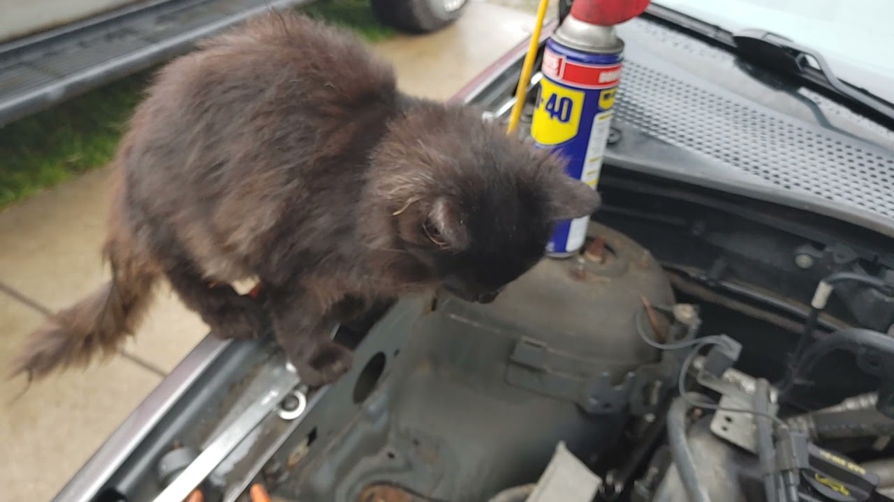 2006 Ford Focus power steering pump replacement