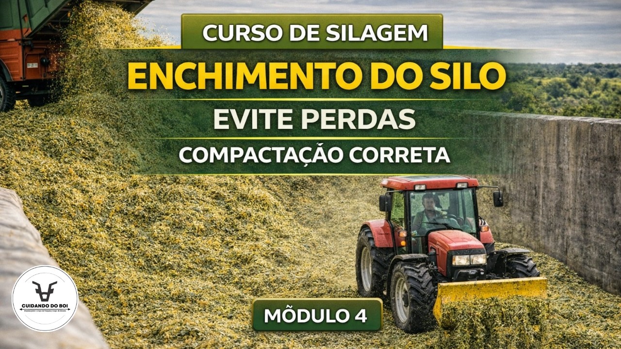 Enchimento e Compactação do Silo. Prof. Antônio Filho