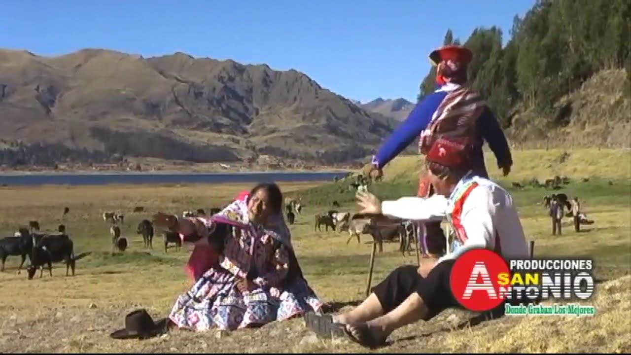 Lindo Paisanito I Brisa Andina
