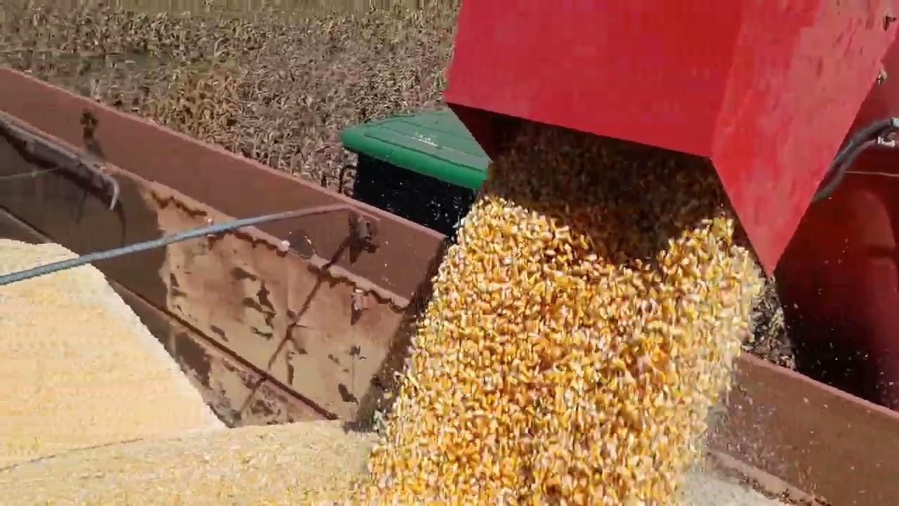 Mais um sabadão abençoado .agro MT.