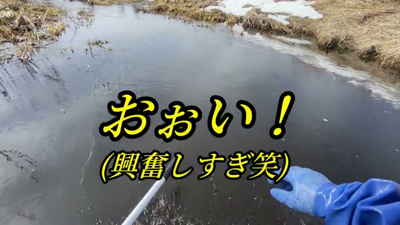 2026年2月28日
