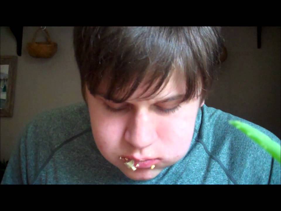 BIG MAC ONE BITE